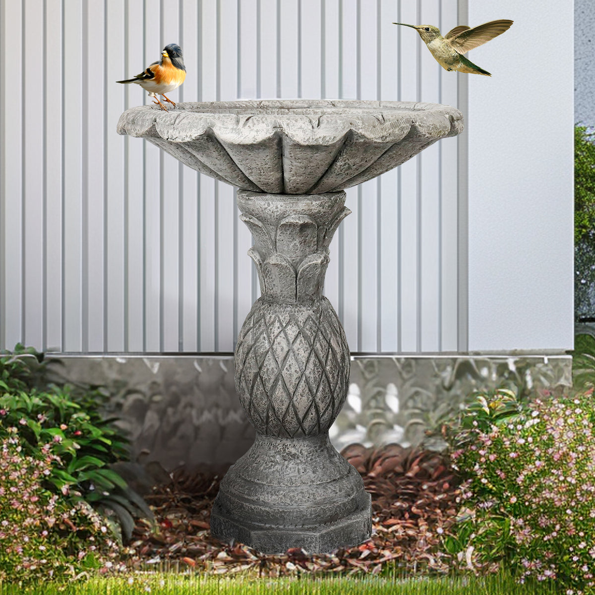 Wild birds enjoying the hygienic water in the sturdy concrete freestanding bird bath near a white fence.