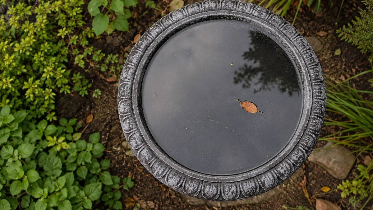 Still glassy water in a carved leaf concrete bird bath seen from above with a floating leaf