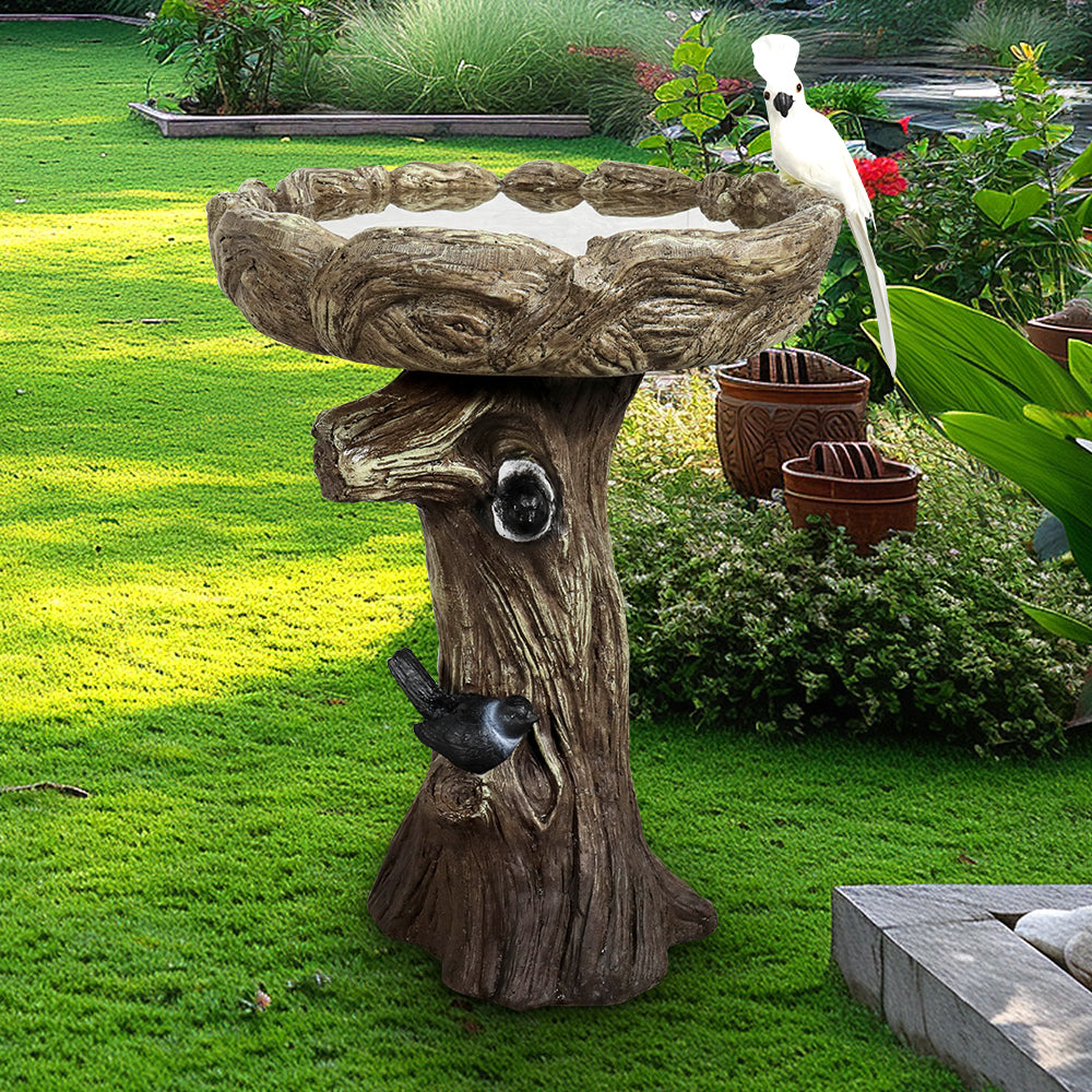 Classic reinforced concrete bird bath in a peaceful backyard setting
