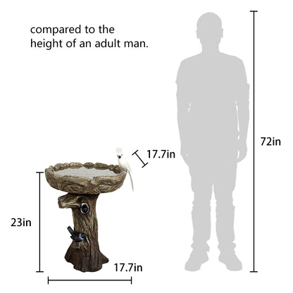 Height comparison of the 23.8" tall concrete bird bath