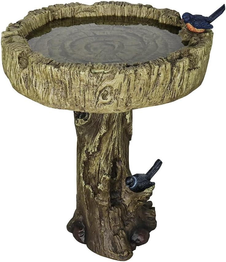 Low angle view showing the sturdy tree trunk pedestal on white.