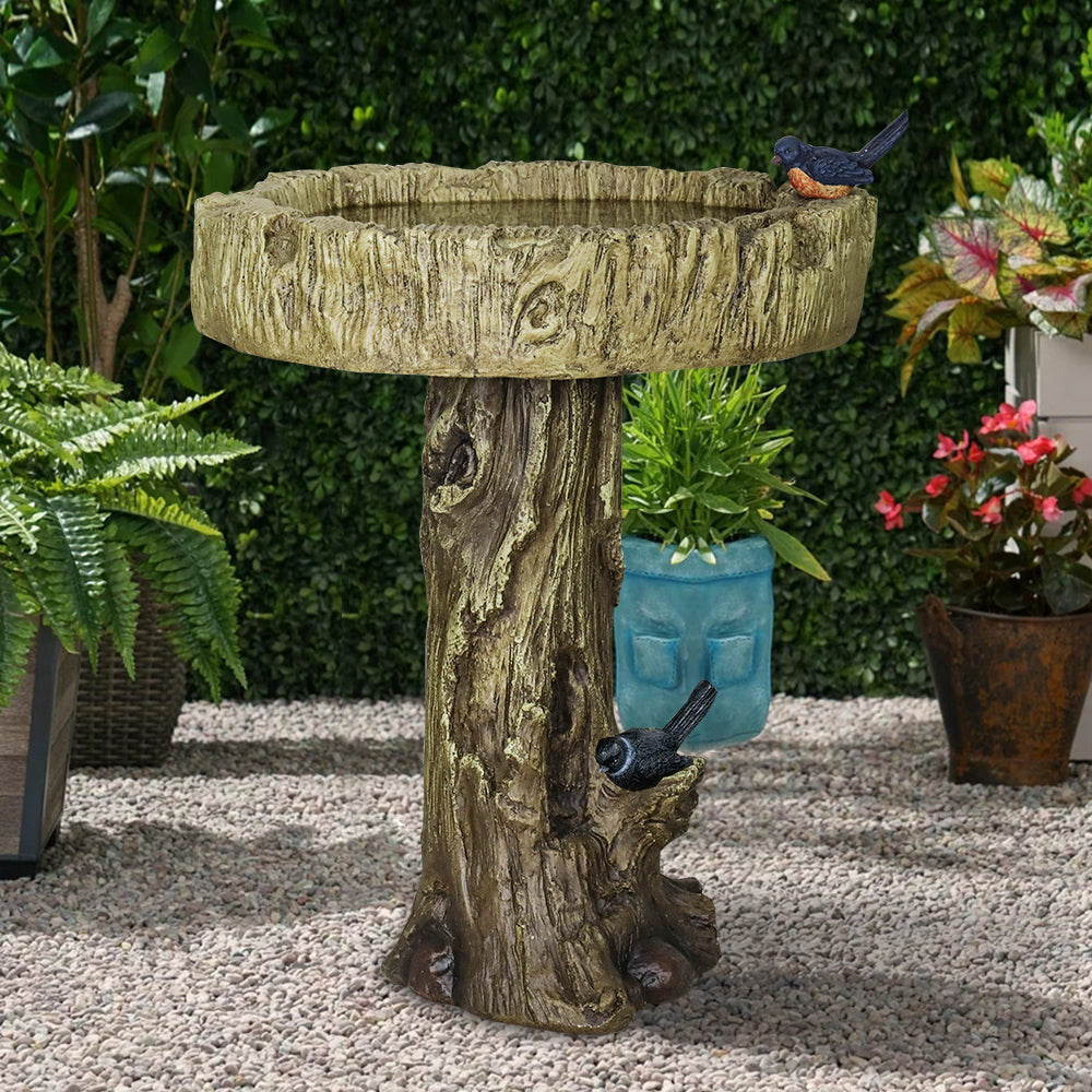 Rustic concrete birdbath decorating a peaceful garden pathway.