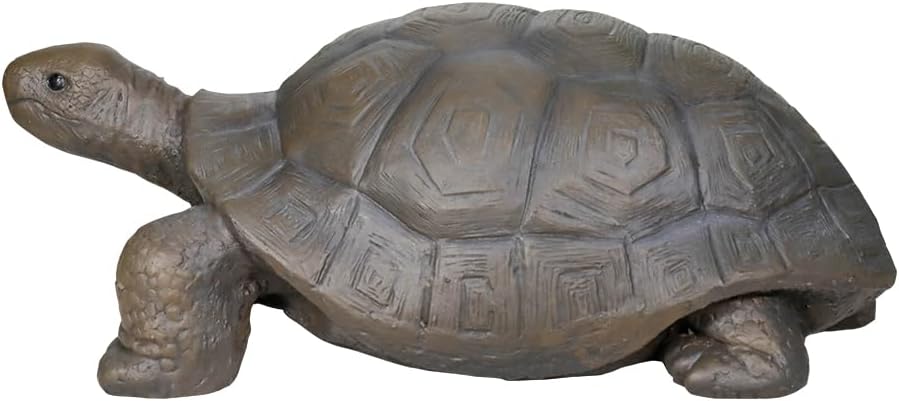 Side profile of the durable GFRC garden turtle sculpture on white