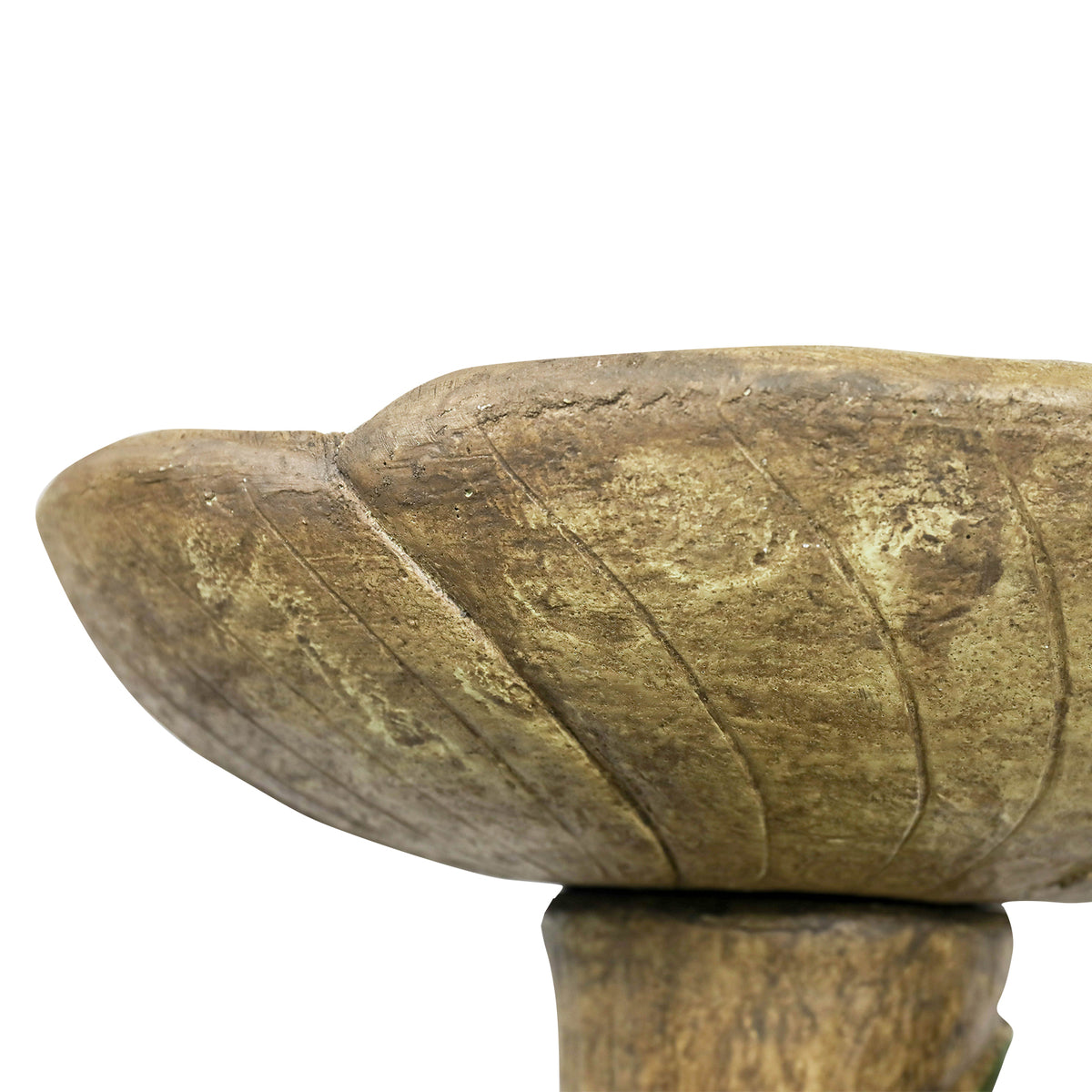Side view of the shallow concrete bird bath bowl with realistic leaf-like textured edges.